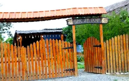 fotó fotó