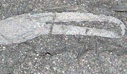 legrégebbi