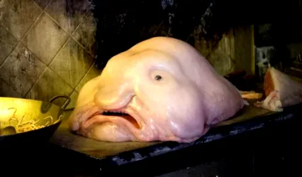 pokol