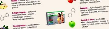 fitmax3