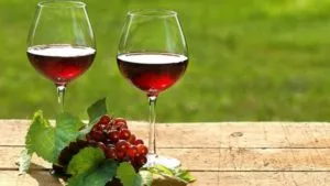 Bor otthonról piros és fekete ribizli egy egyszerű recept, hogyan kell főzni (home) Bor piros és fekete ribizli egy otthon egy egyszerű recept, hogyan kell főzni