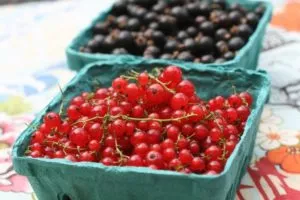 Bor piros és fekete ribizli egy otthon egy egyszerű recept, hogyan kell főzni (feltételek) Bor piros és fekete ribizli egy otthon egy egyszerű recept, hogyan kell főzni