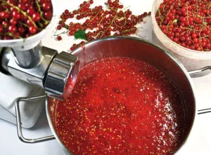 Bor piros és fekete ribizli egy otthon egy egyszerű recept, hogyan kell főzni (fekete) Bor piros és fekete ribizli egy otthon egy egyszerű recept, hogyan kell főzni