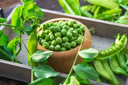 Vitamin a, b, c leírása és hatása van a szervezetben