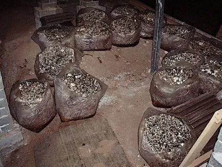Növekvő gombát otthon, és az üzleti körülmények között (az) Növekvő gombát otthon, és üzleti feltételek