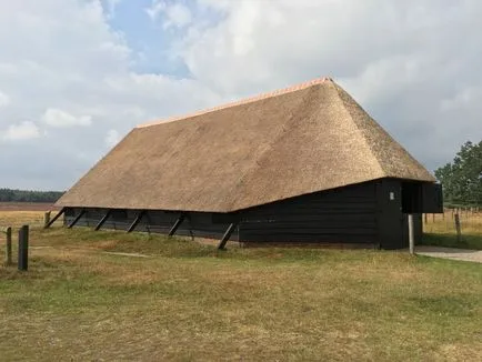Növekvő juhok otthon esztena a juhok saját kezűleg