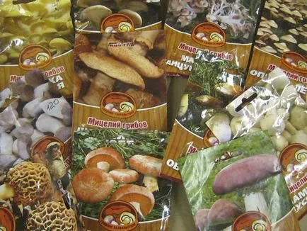 Gomba nő a kertben, különösen törődnek a növények a kertben saját keze és fotók