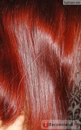 Henna haj Fotókozmetika iráni természetes - „visszatértem henna 15 év után, és nem akarja, hogy (vissza) Henna haj Fotókozmetika iráni természetes - „visszatértem henna 15 év után, és nem akarom,