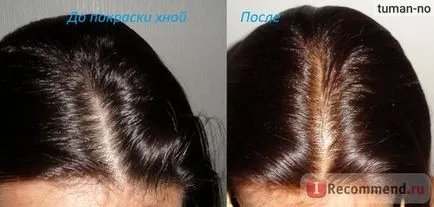 Henna haj Fotókozmetika iráni természetes - „visszatértem henna 15 év után, és nem akar (Fotókozmetika) Henna haj Fotókozmetika iráni természetes - „visszatértem henna 15 év után, és nem akarom,