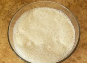 Kovászos kenyeret élesztő nélkül, búzaliszt - a recept egy fotó (kenyér) Kovászos kenyeret élesztő nélkül, búzaliszt - a recept egy fotó