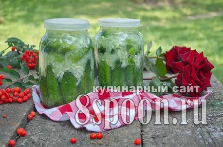 Előkészületek a téli uborka legfinomabb recepteket! (Delicious) Előkészületek a téli uborka legfinomabb recepteket!