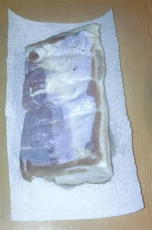 Sózása zsír lében
