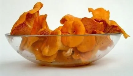 Fry gomba arról szól, hogyan sütjük gomba (hogyan sült gomba) Fry gomba arról szól, hogyan sütjük gomba