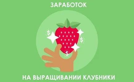 Kereset a termesztés eper - olvasható, gondolom, keresni!