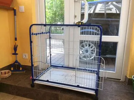 Rács mögött - szól kutya sejtek - dogcollar - lőszer és kiegészítők kutyáknak (összes kutya sejtek) Rács mögött - szól kutya sejtek - dogcollar - lőszer és kiegészítők kutyáknak