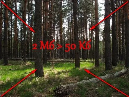 2 gyors módja, hogy a súlycsökkentés fotók