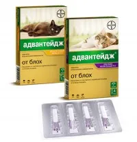Advanteydzh macskáknak - használati utasítás (macska) Advanteydzh macskáknak - használati utasítás
