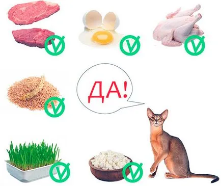 Abesszin - fotók, természet, tartalom, élelmiszer, vásárlás (élelmiszer) Abesszin - fotók, természet, tartalom, élelmiszer, vásárlás