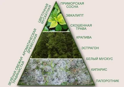 Drogéria jogorvoslati lehetőségeket a hajhullás haj- hatékony gyógyszerek (haj) Drogéria jogorvoslati lehetőségeket a hajhullás haj- hatékony gyógyszereket