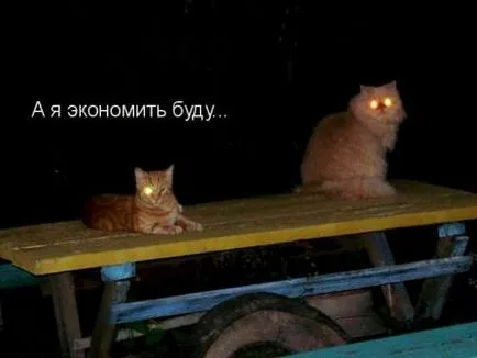 Padlizsán sült paradicsommal és sajttal 1