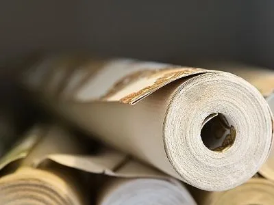 Papír tapéta típusok előnyeit és hátrányait (papír) Papír tapéta típusok előnyeit és hátrányait