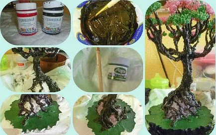 Bonsai saját kezűleg, hogyan kell csinálni lépésről lépésre, borovi és a pénz fa, a mester osztály, honnan (a kezében) Bonsai saját kezűleg, hogyan kell csinálni lépésről lépésre, borovi és a pénz fa, a mester osztályt