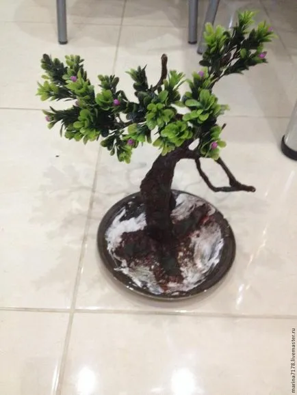 Bonsai mesterkurzus kezét, hogyan lehet a valós és a mesterséges bonsai (saját) Bonsai mesterkurzus kezét, hogyan lehet a valós és a mesterséges bonsai