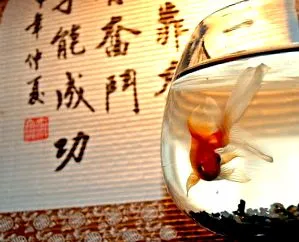 shui