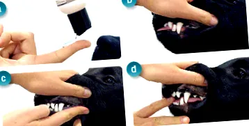 oral clean