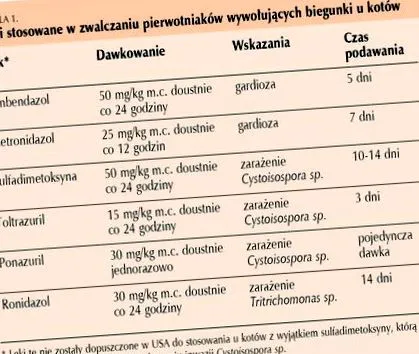 леченје
