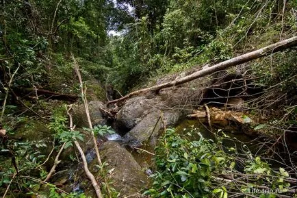 Mit látni Koh Chang látnivalók (Klong vízesés Klong) Mit látni Koh Chang látnivalók