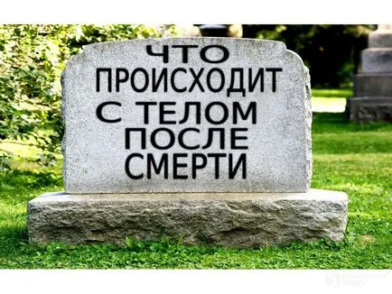 Mi történik a test halál utáni