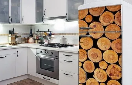 hűtőszekrény kezüket A berendezés - ötletek, módszerek, fotó