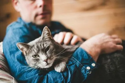 Depressziós tünetek macskák do megelőzés (depresszió) Depressziós tünetek macskák, mit kell tennie, megelőzés