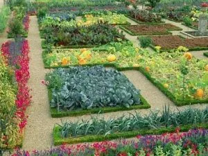 kerttervezés és kerti kezük képeket, illusztrációkat és fotóit intézkedik Garden & Kertészet