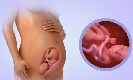 hogy a gyermek légzése az anyaméhben, a baba az anyaméhben (a gyermek az anyaméhben) hogy a gyermek légzése az anyaméhben, a baba az anyaméhben