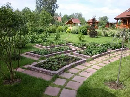 kerttervezés és kerti kezük képeket, illusztrációkat és fotóit intézkedik Garden & Kertészet
