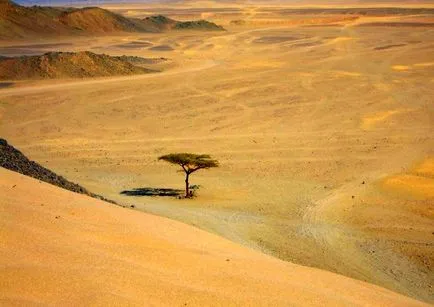 Tours Egyiptomban Hurghada, útikalauz