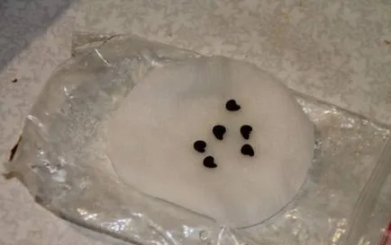 Hibiscus Seed