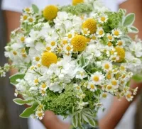 Elegáns csokrok százszorszépek elegáns egyszerűség a kép