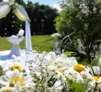 Elegáns csokrok százszorszépek elegáns egyszerűség a kép