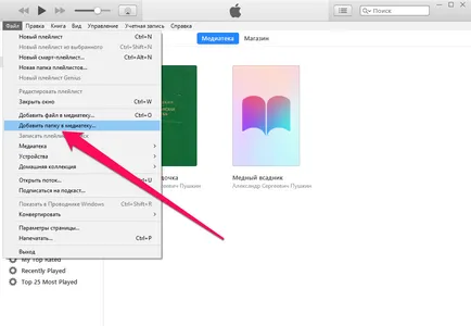 Hogyan kell olvasni könyveket az iPhone révén iBooks (iBooks) Hogyan kell olvasni könyveket az iPhone révén iBooks