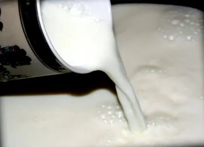 млеко mybisque