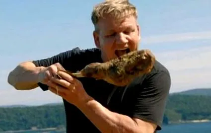 gordon