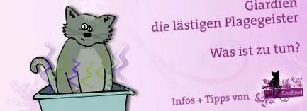 katze