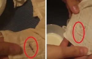 Hogyan és mit kell lemosni a tinta a tollból a ruhákat (mossa ki) Hogyan és mit kell lemosni a tinta a tollból a ruhákat