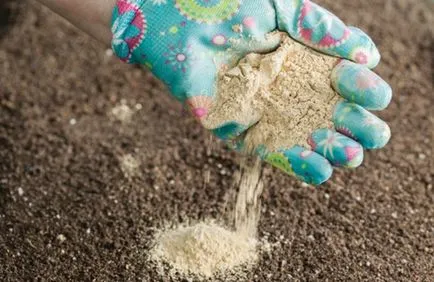 Ahogy sántít, mint a talaj a kertben, tavasszal, nyáron, ősszel