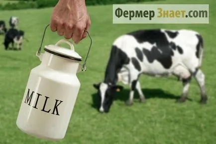 Hogyan tehenet - a helyes módszer figyelembe veszi az összes tényezőt a fejés