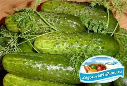 Hogyan kell főzni a sós uborka