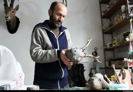 Hogyan lehet kitömött állatok, ahogy az